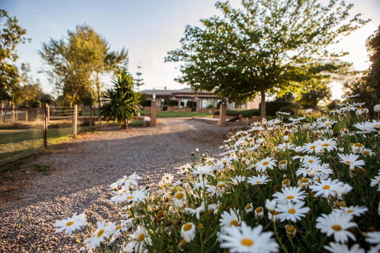 Agroturismo Can Pere Rei Son Serra de Marina Eksteriør billede